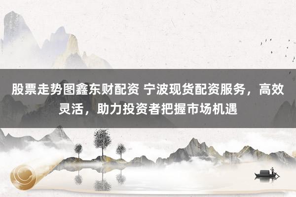 股票走势图鑫东财配资 宁波现货配资服务，高效灵活，助力投资者把握市场机遇
