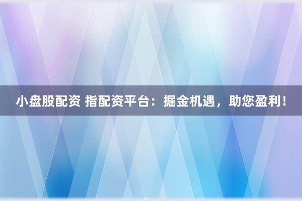 小盘股配资 指配资平台：掘金机遇，助您盈利！